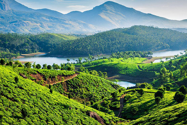 Munnar, India